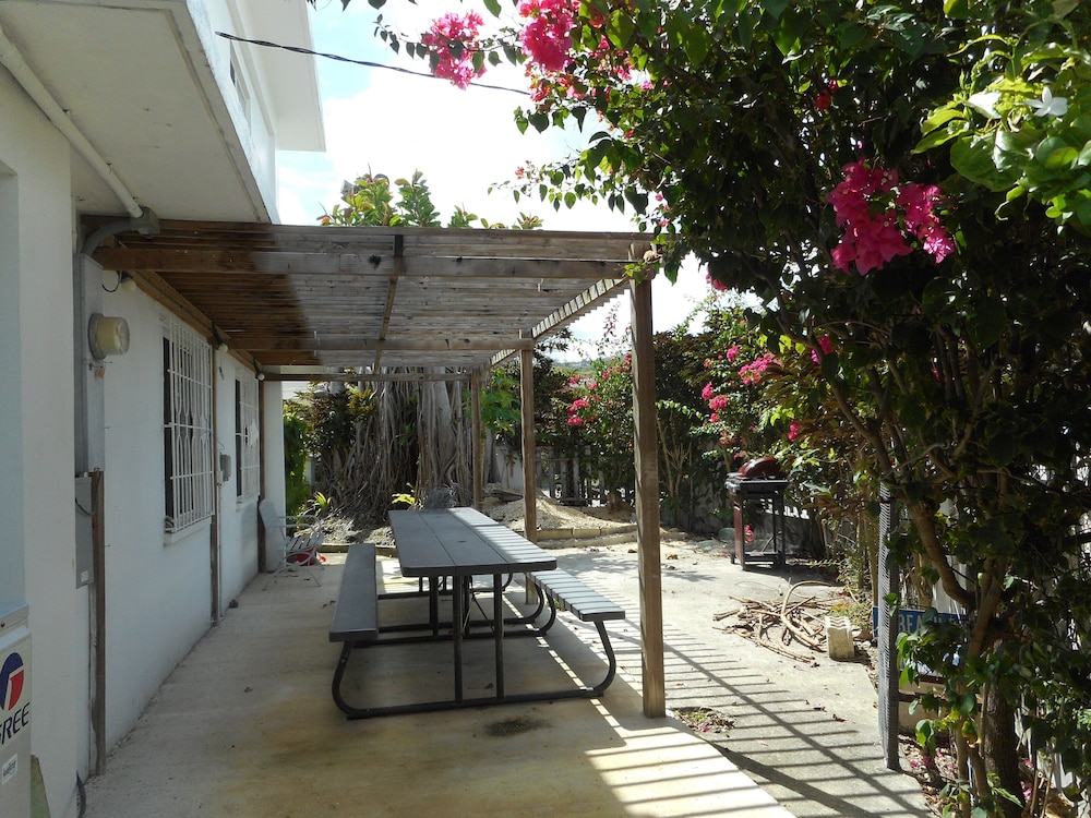 Avenue Guesthouse view 5