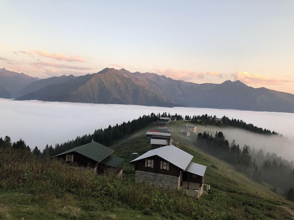 Tanevit Dag Evi