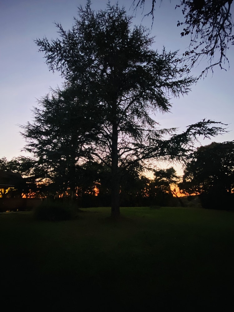 Photo 47