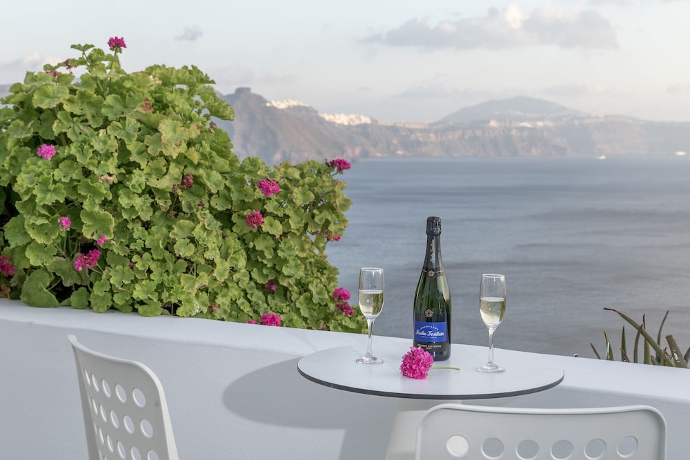 Helianthus Suites