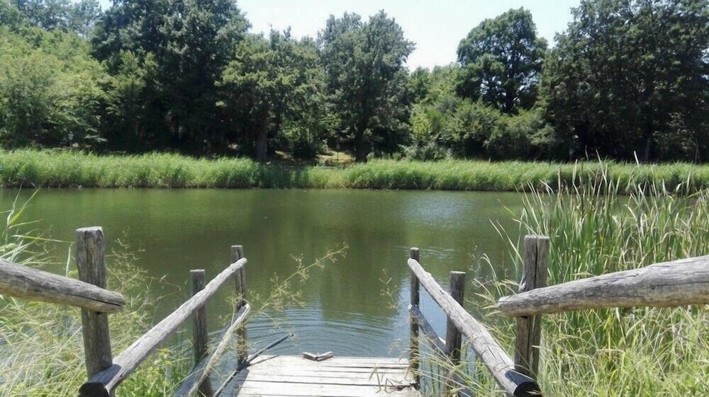 Parco dei Crisciuni Villaggio Camping