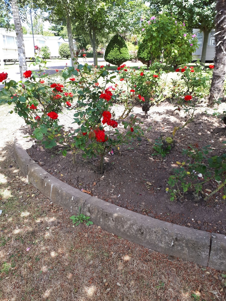 Photo 36