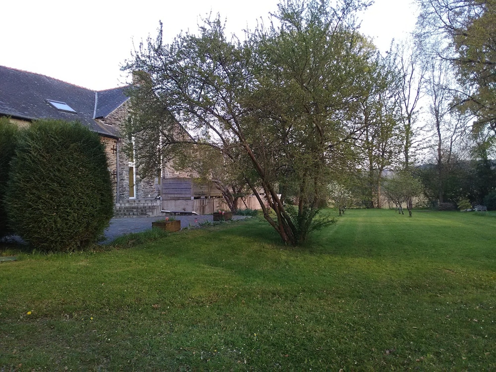 Photo 19