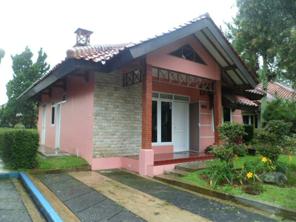 Photo 24