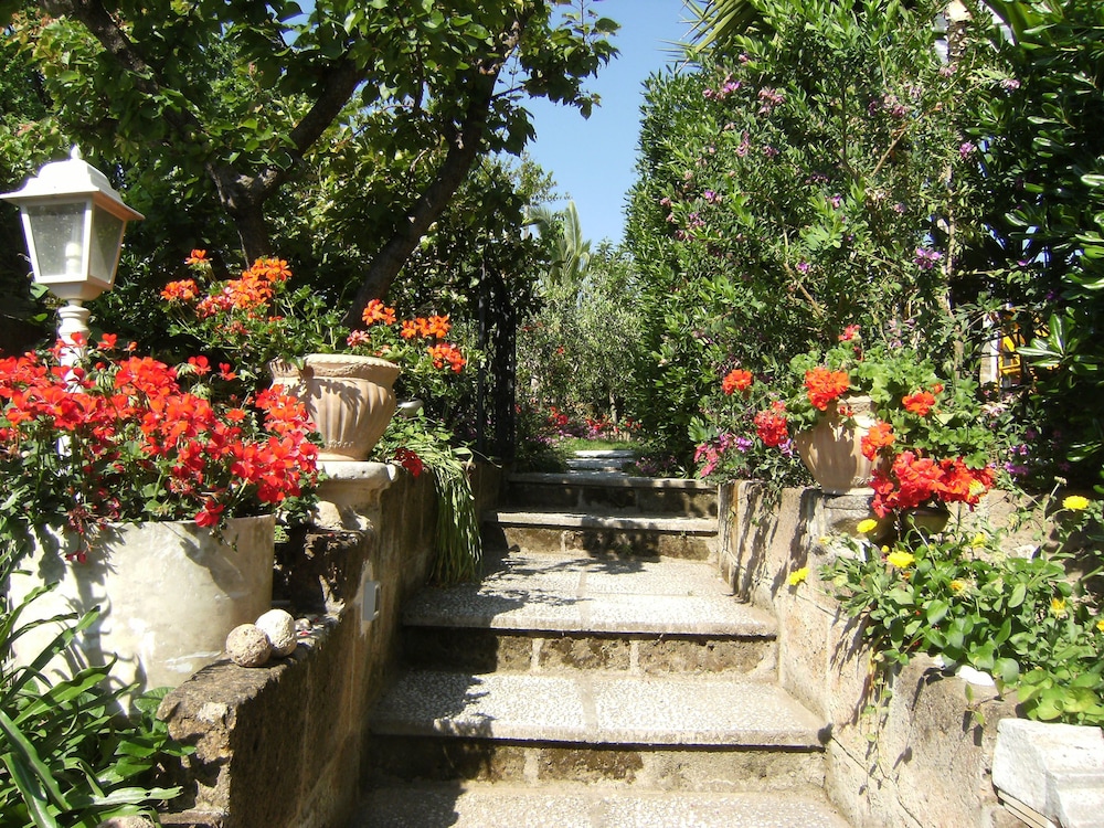 Photo 47