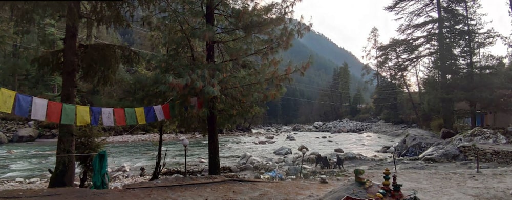 Mahadev River Side Camps