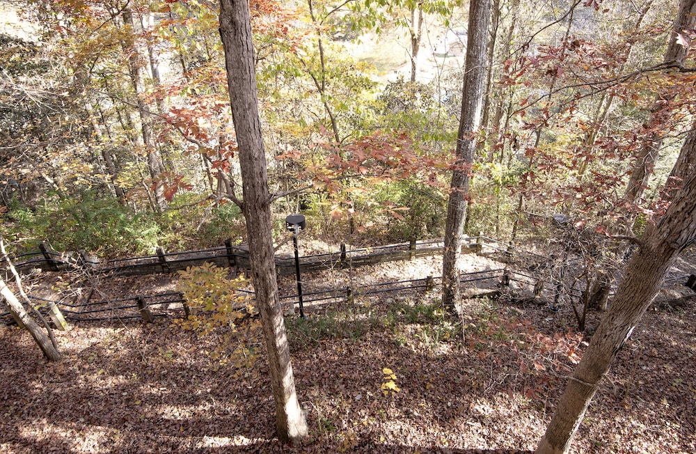 Natural Bridge State Resort Park