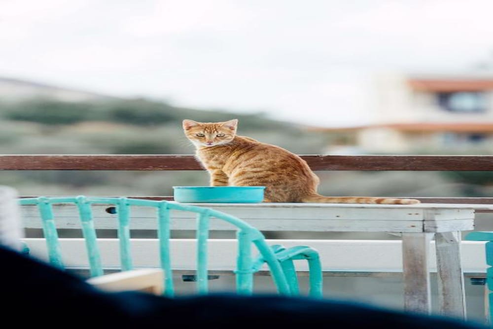 Easy Going Apartment Heraklion view 5