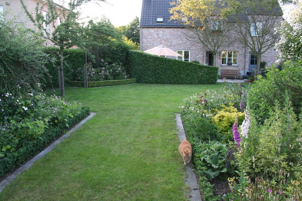 Photo 42