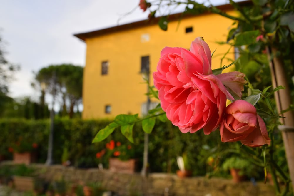 Tenuta Le Colonie