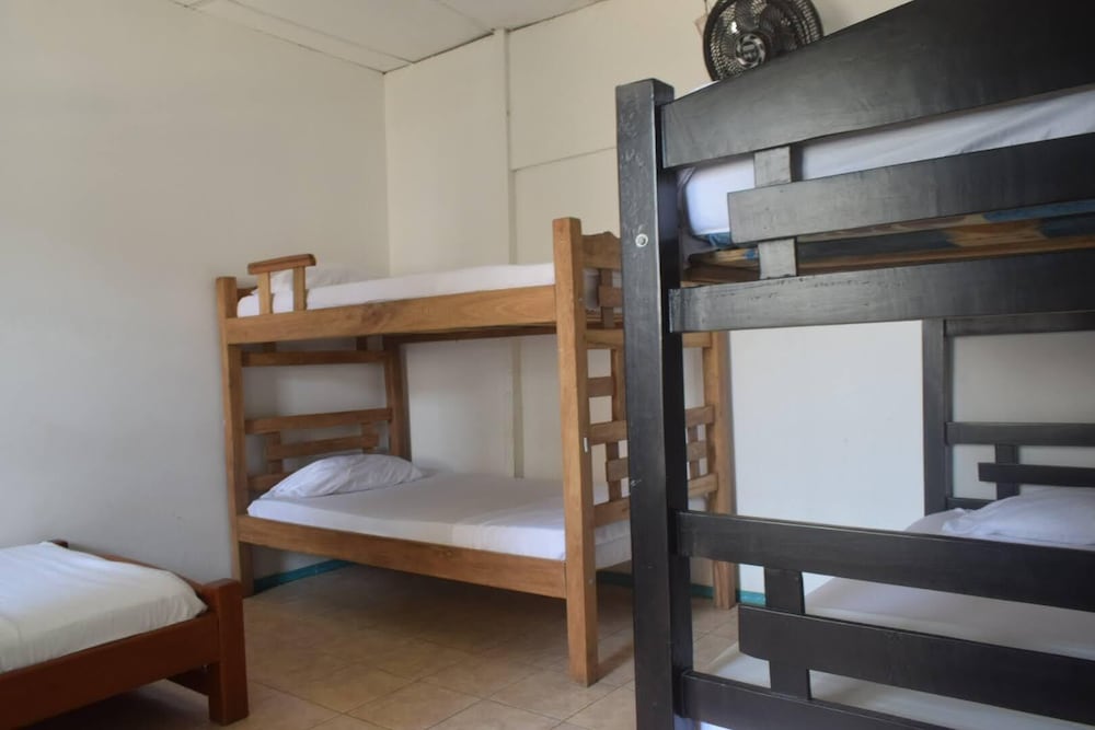 MANGO TREE HOSTEL 4 20