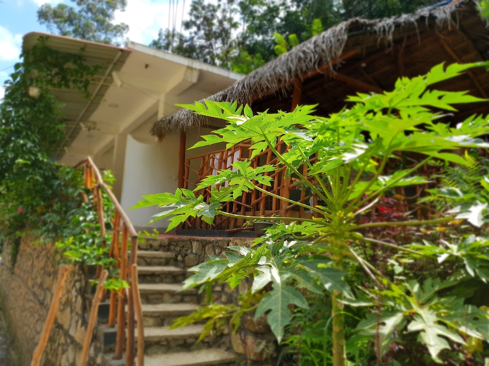 Ella River House