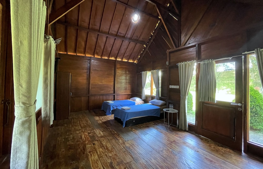 PAVO RESORT