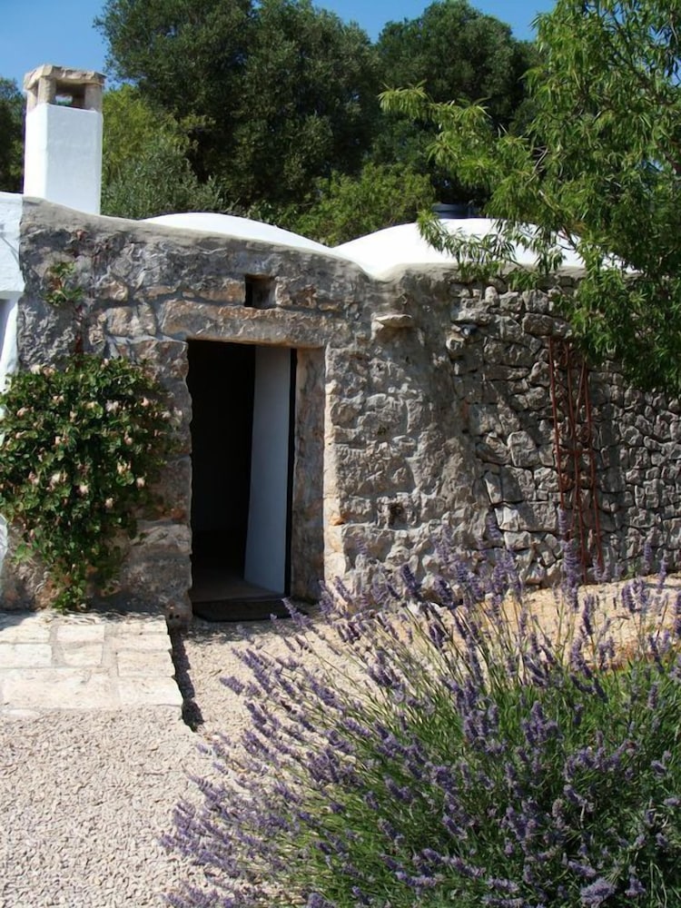 Photo 29