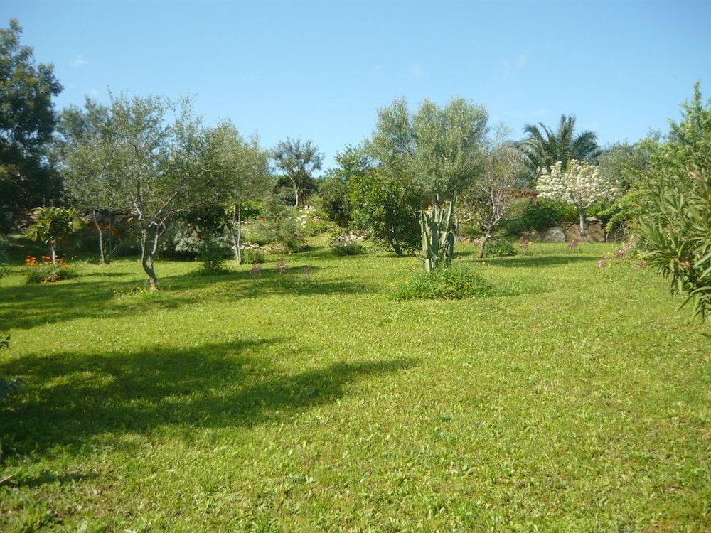 Li Muntigeddi