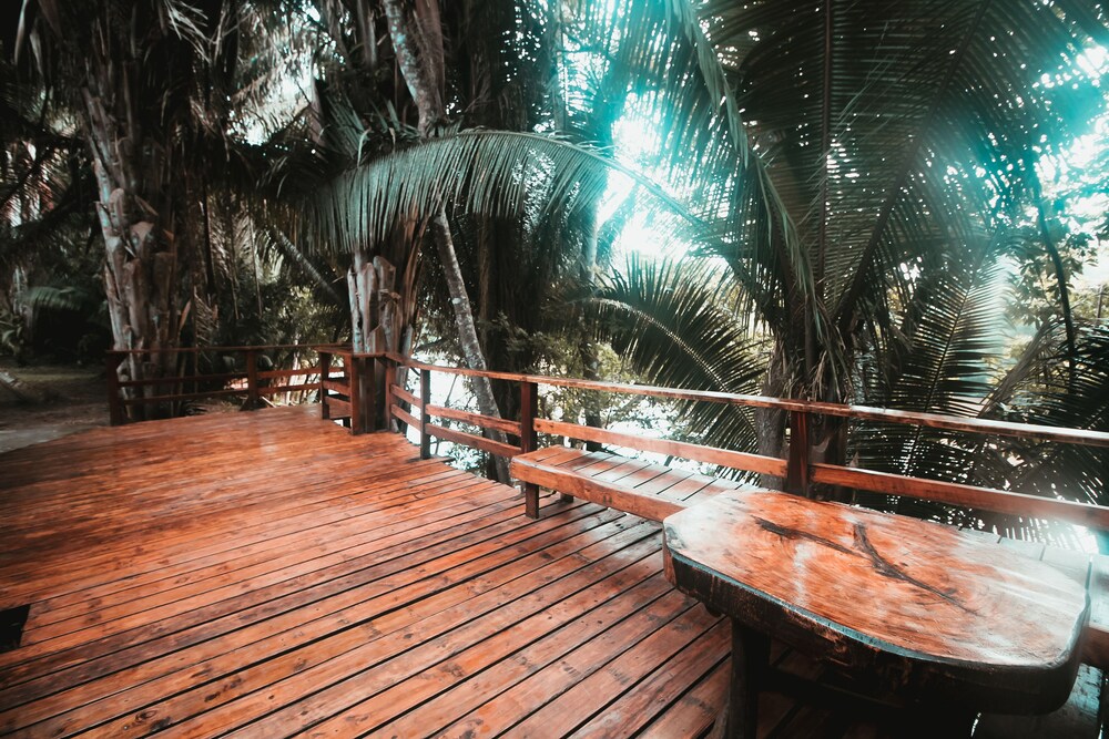 Belize Vacations - Cohune Palms River Cabanas - Property Image 51