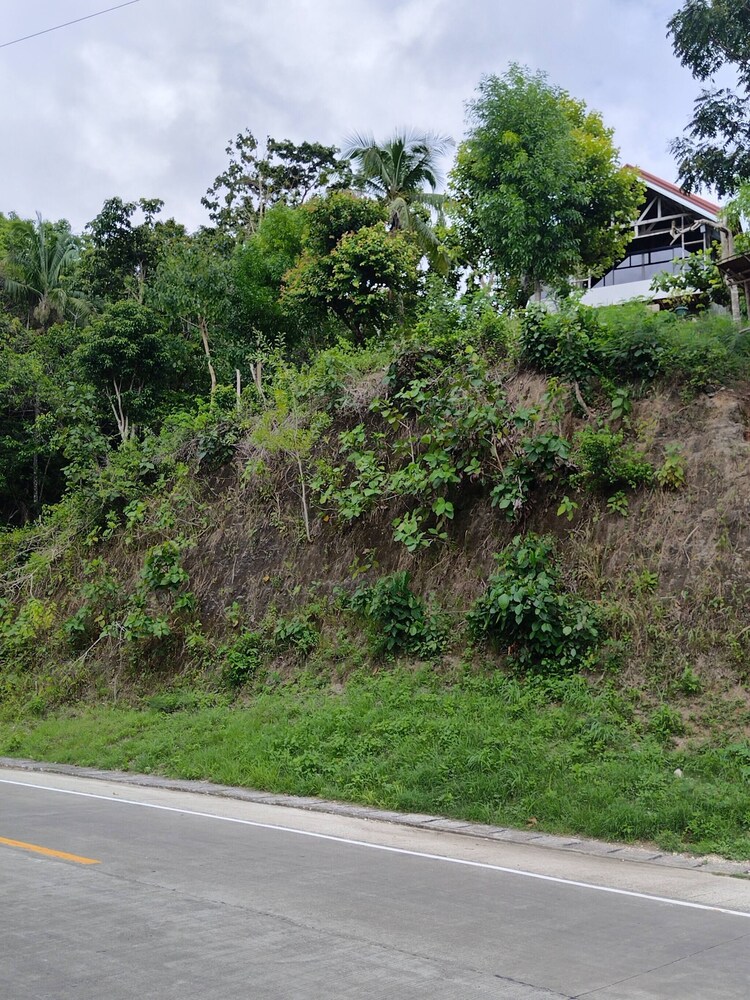Siquijor Overlooking House 100 Meters Before Cambugahay Falls