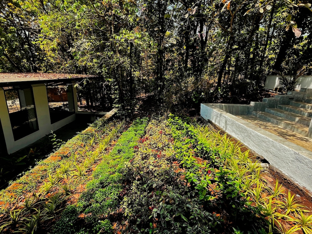 Bird's Nest Resort - Shahapur