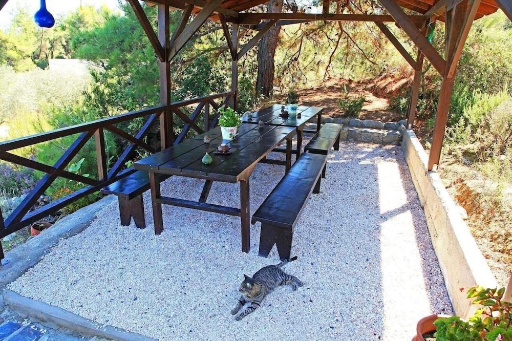 Dionysos Apartments