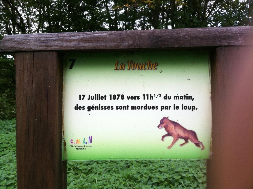 Photo 21