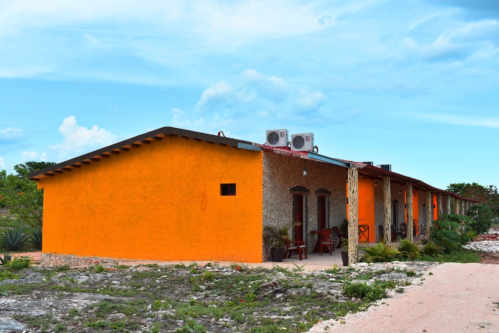 Photo 20