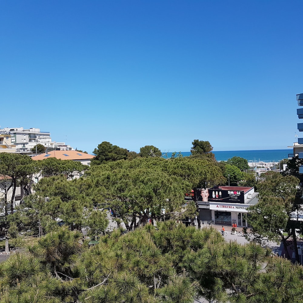 Hotel Ceccarini 9