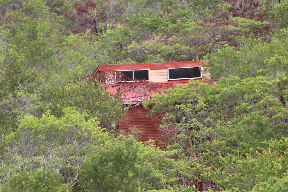 Palmento Grove Eco Cultural & Fishing Lodge
