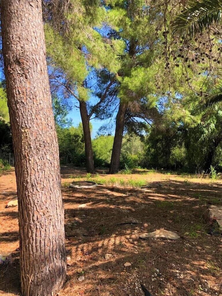 Photo 21