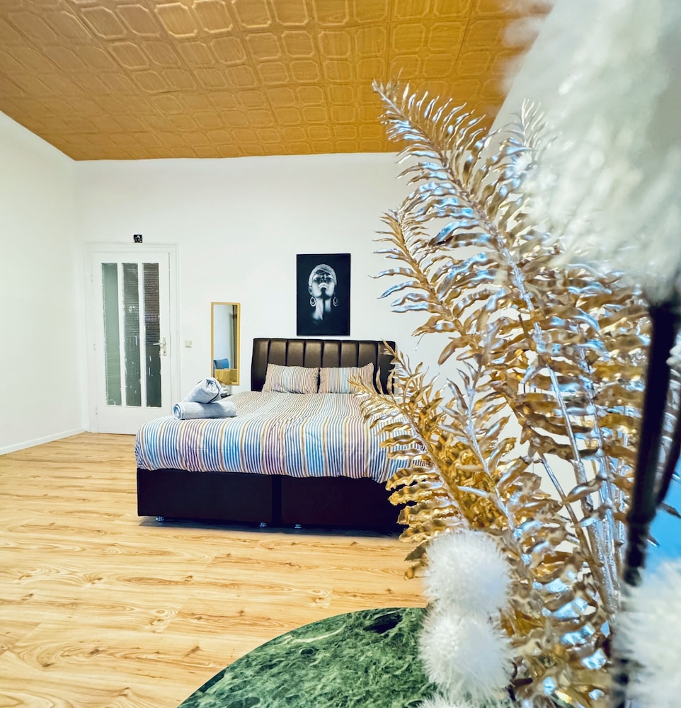 Comfy Studio Apt Near FAC Platz