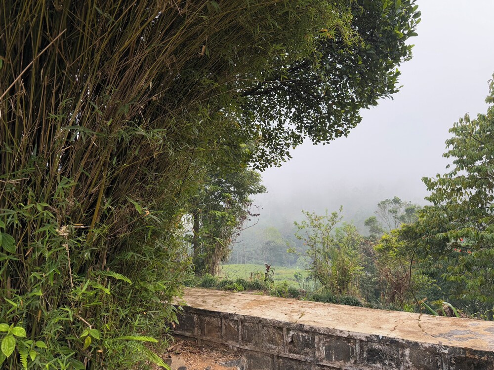 Watawala Tea Plantation Bungalow
