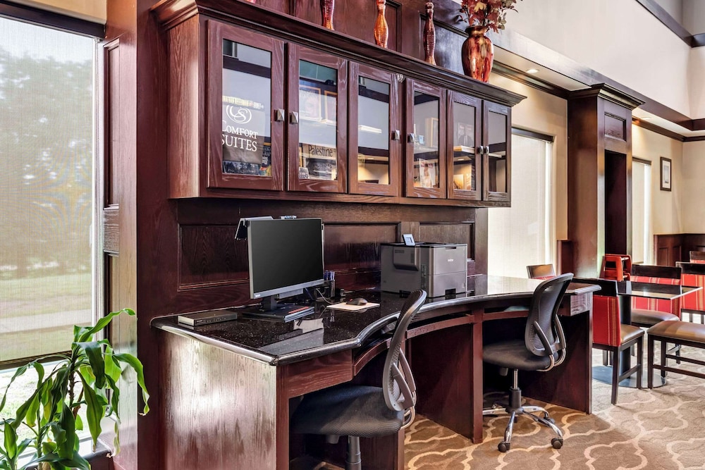 Palestine Vacations - Comfort Suites - Property Image 7