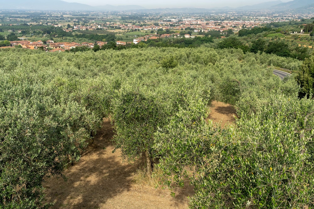 Amazing View Laporecchio Hills