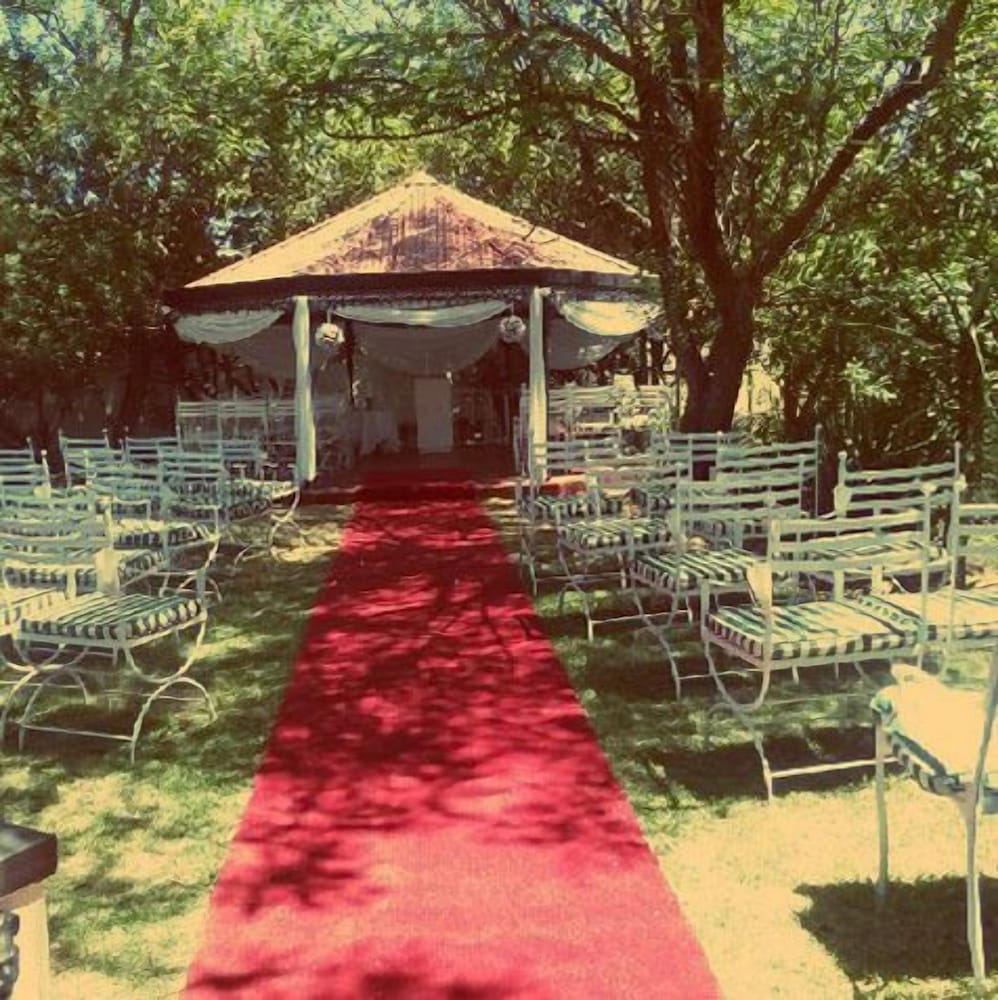 The Red Tin Roof
