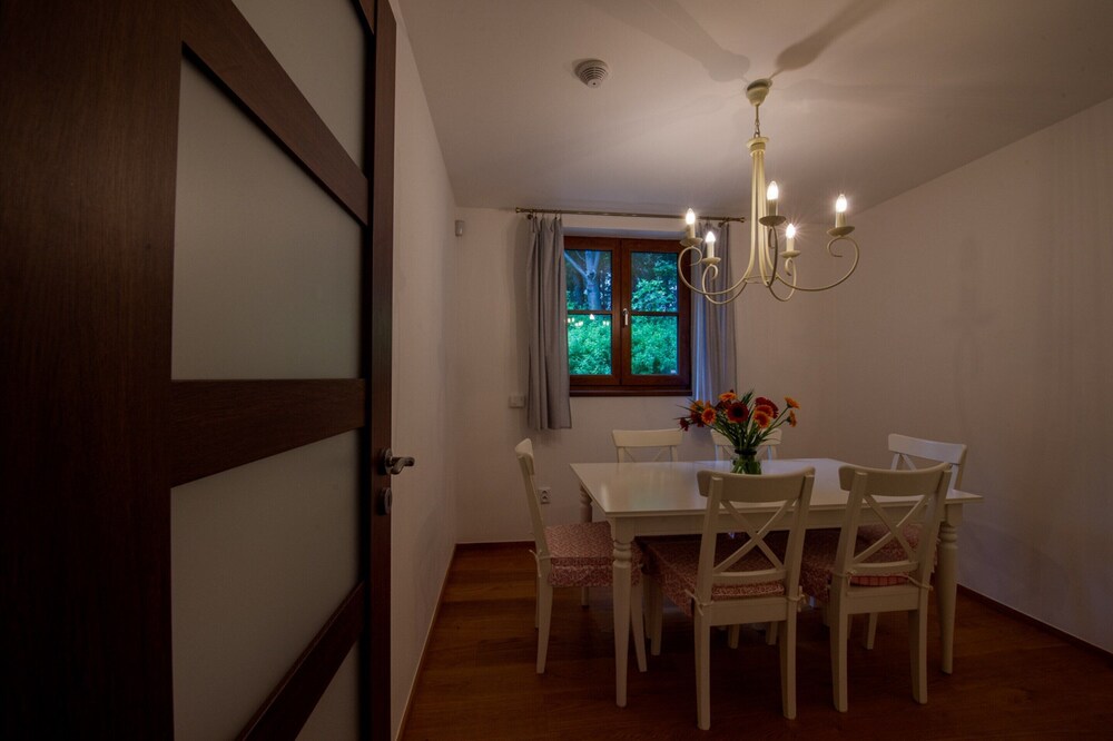 Villa in Ore Mountains Near Ski Areal Kliny