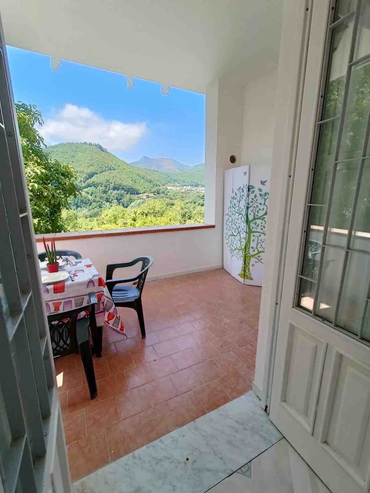 A Refuge Between Green And Blue photo 5