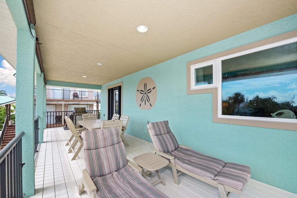 Sand Dollar on Miramar