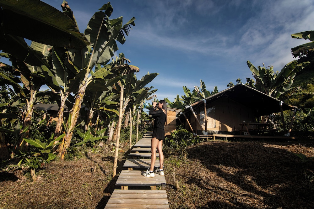 Glamping Jardín