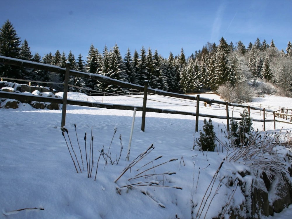 Apartment in Dachsberg-urberg view 4