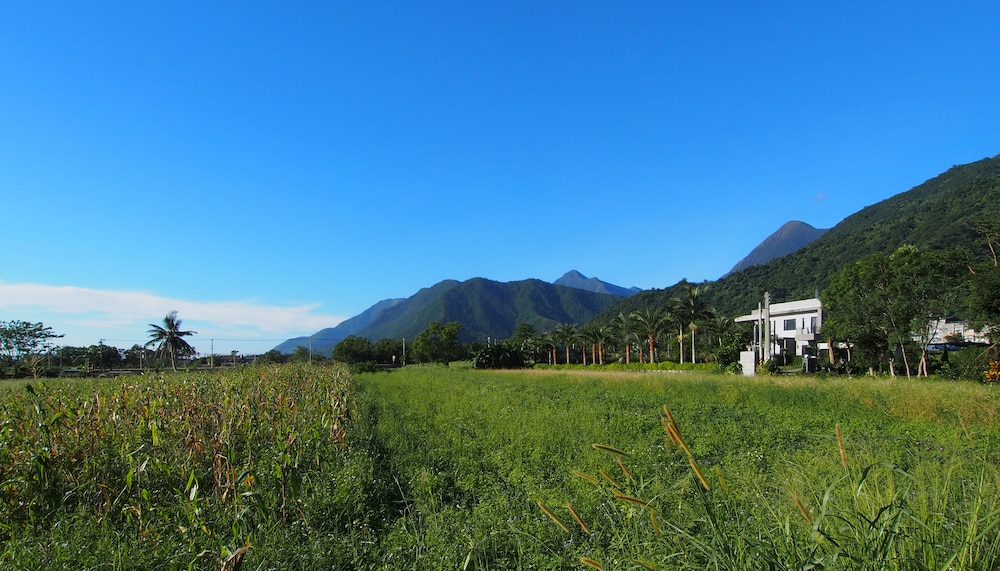 Viasea B&B