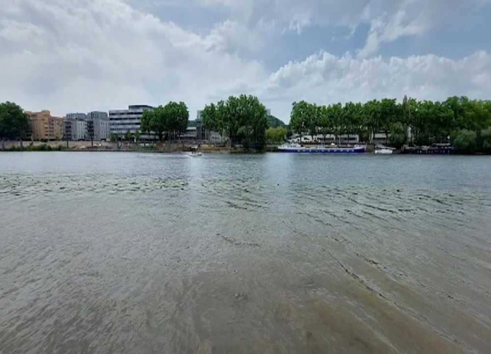 Dify Jarente - Quartier Ainay