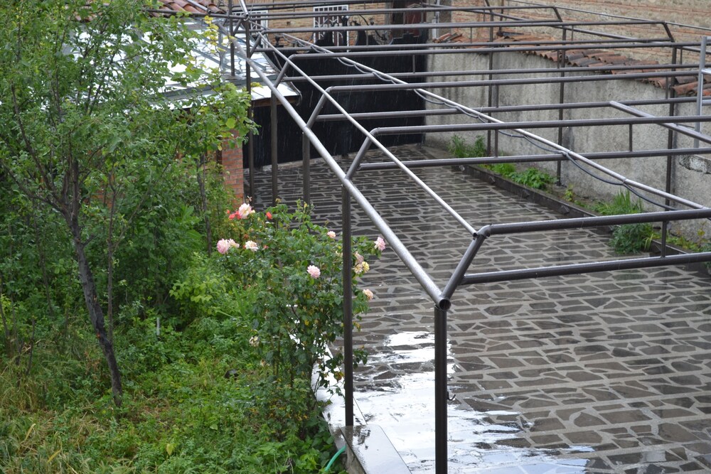 Photo 42
