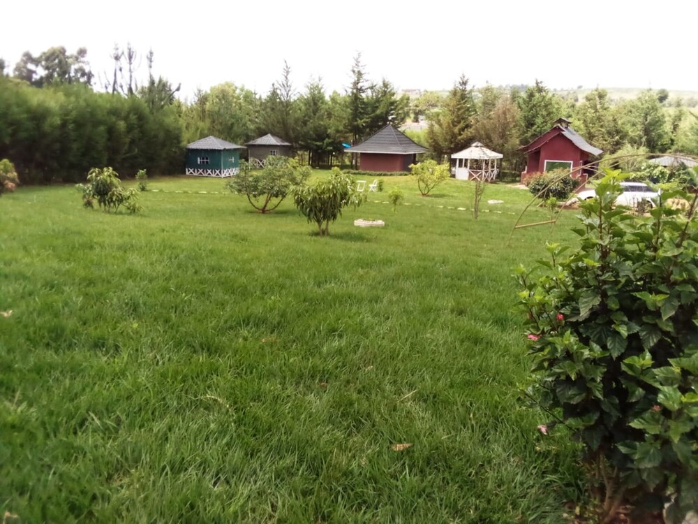 Photo 24