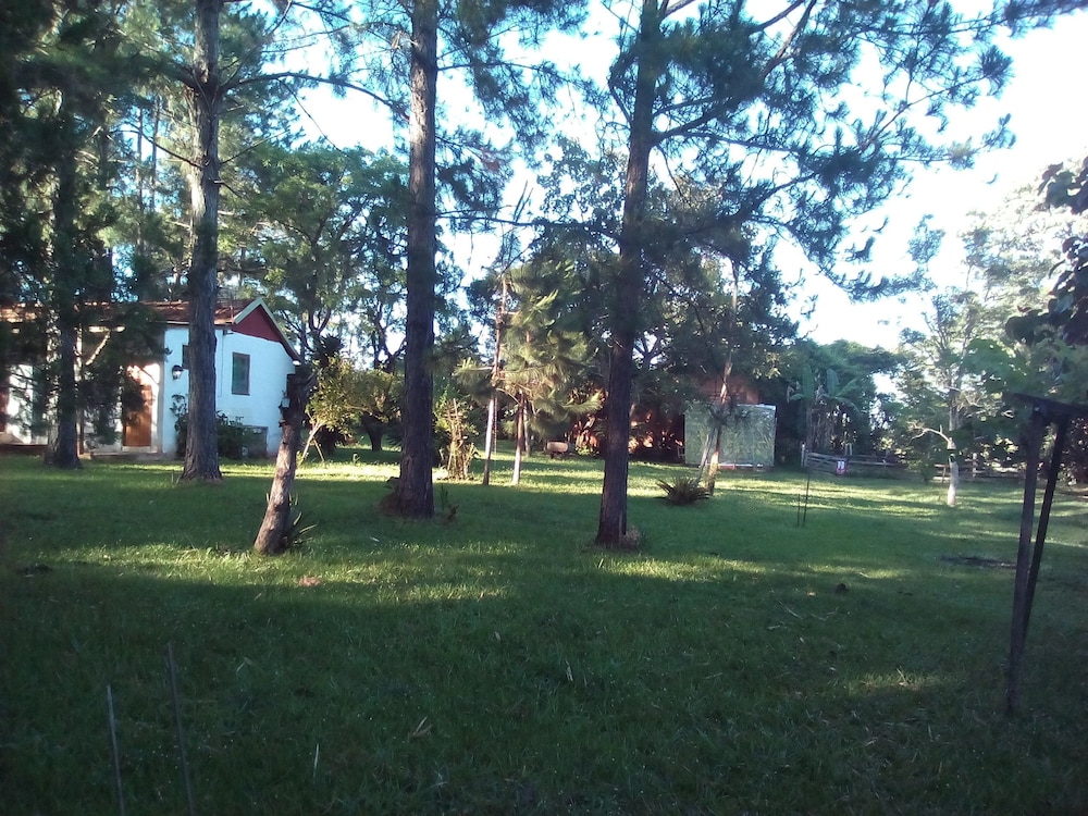 Photo 46