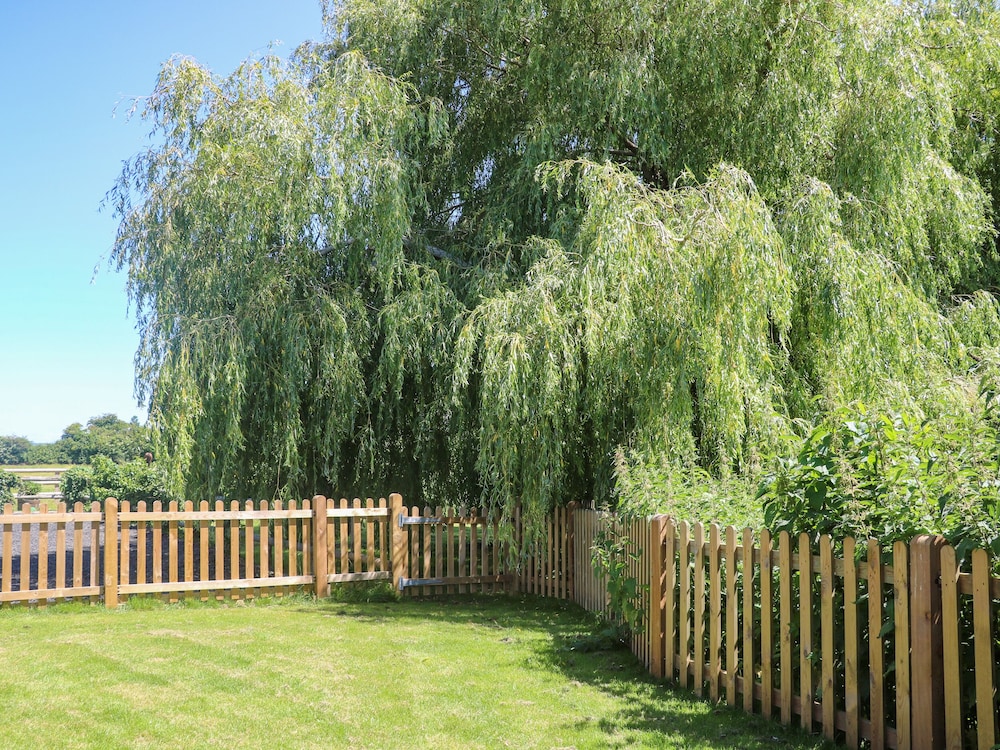 Willow Pod
