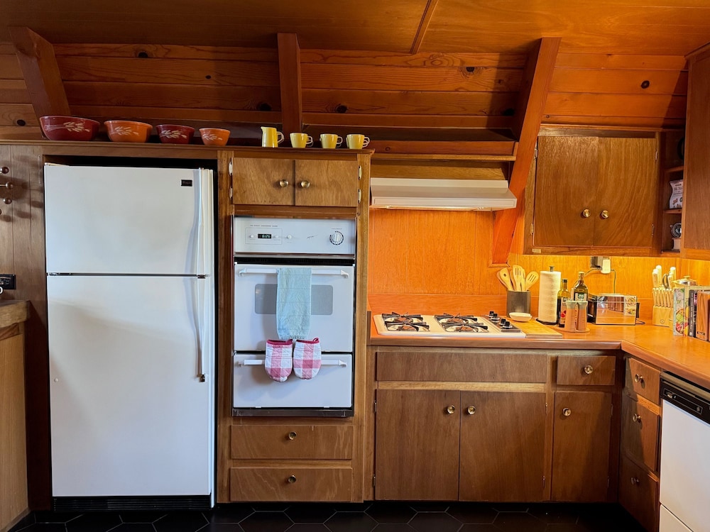 Mid-century Modern A-frame Time Capsule