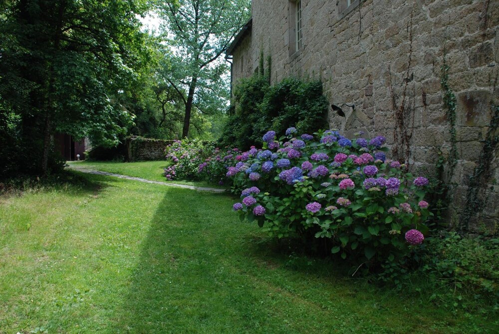 Photo 44