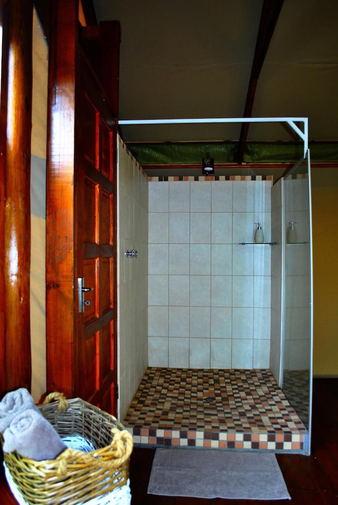 Lion Tree Top Lodge