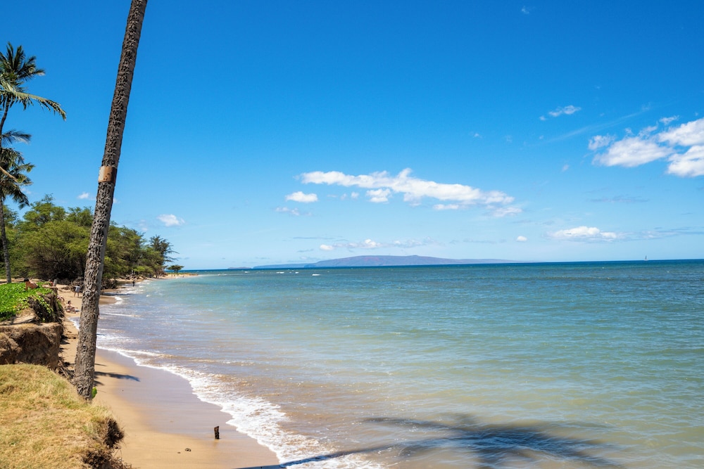 Romannas Golden Ray Oceanfront Condo