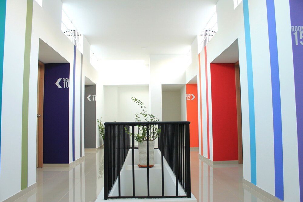 Color Hostel