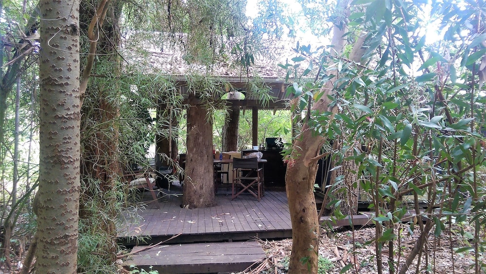 The Black Cockatoo Nannup